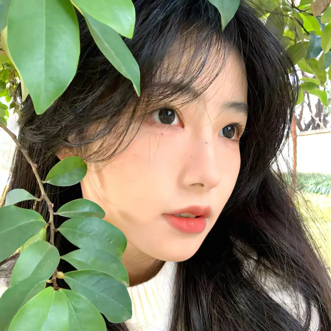 脂粉英雄